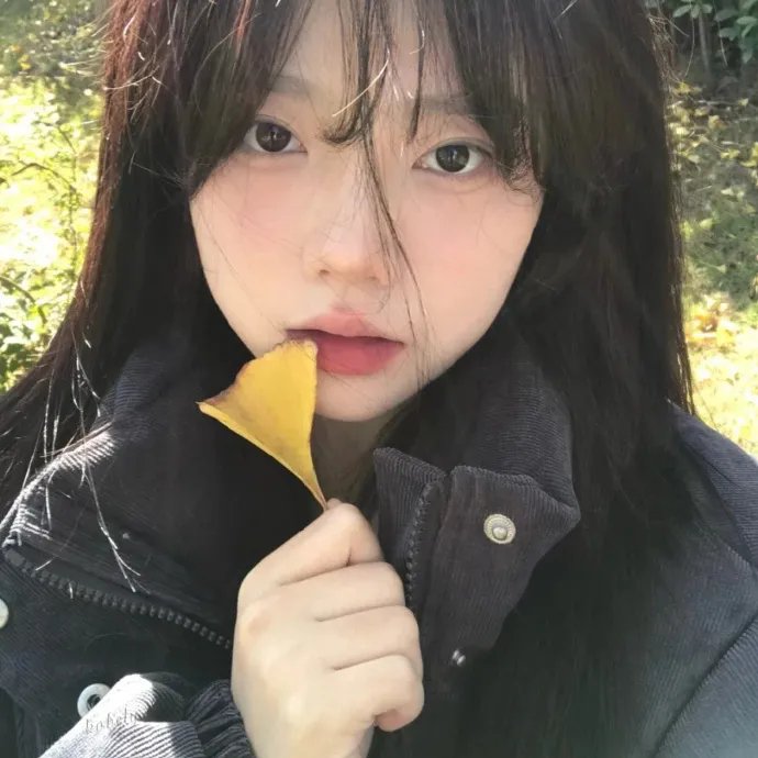 五颗寂寞芳心